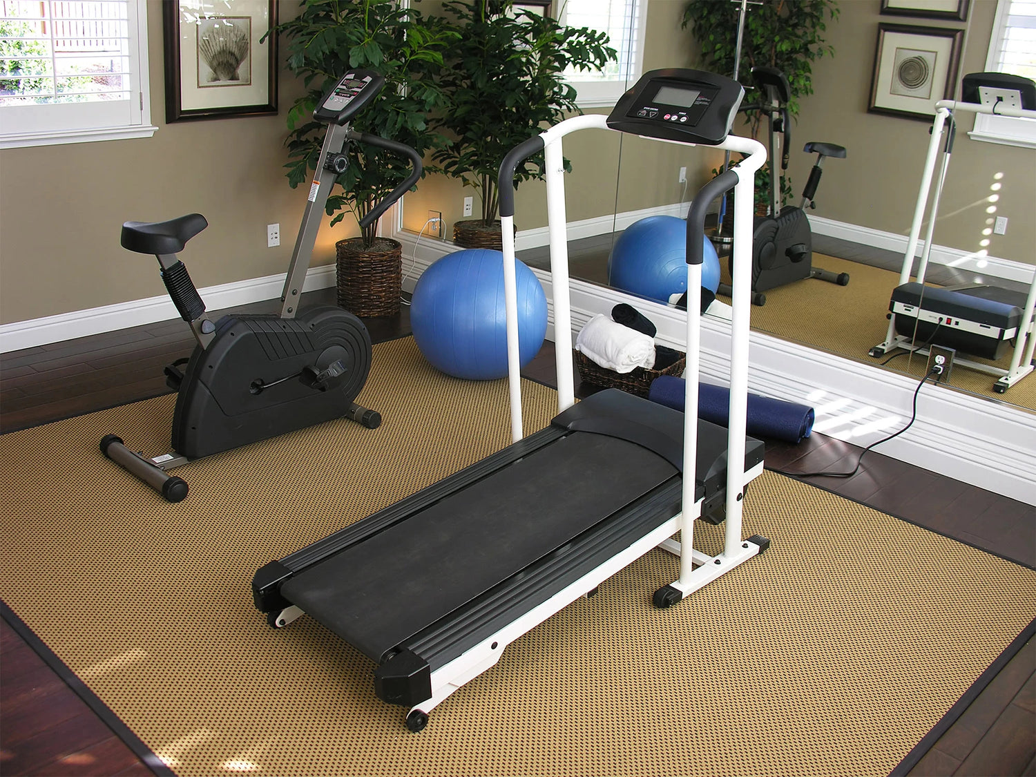 Exercise Equipment